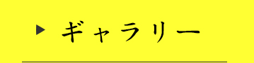 ギャラリー